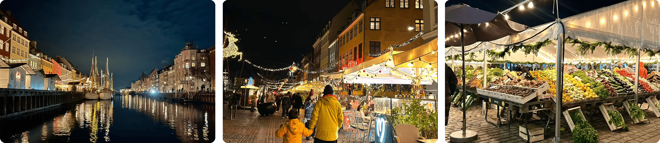 Copenhagen Denmark stopover during Iceland trip