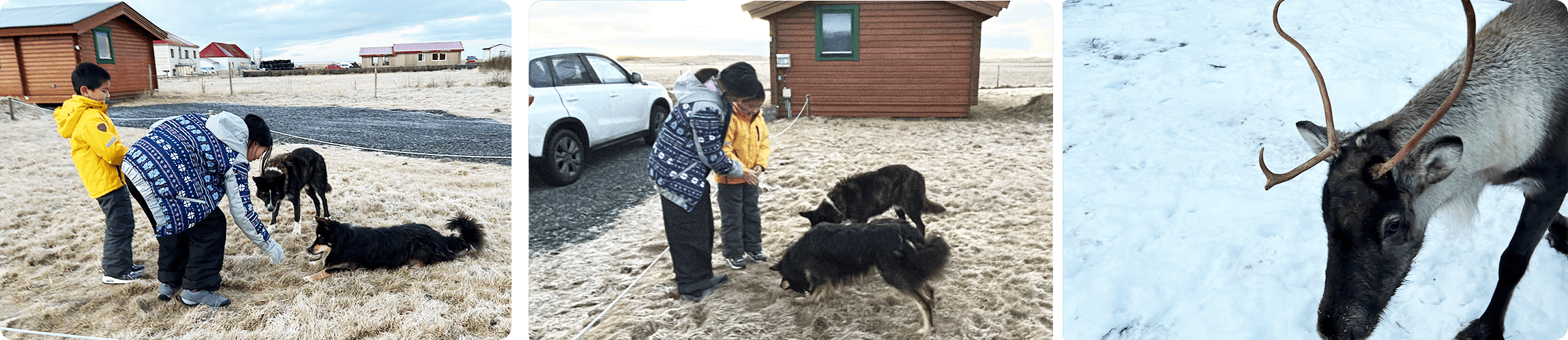 Iceland winter farm stay family road trip