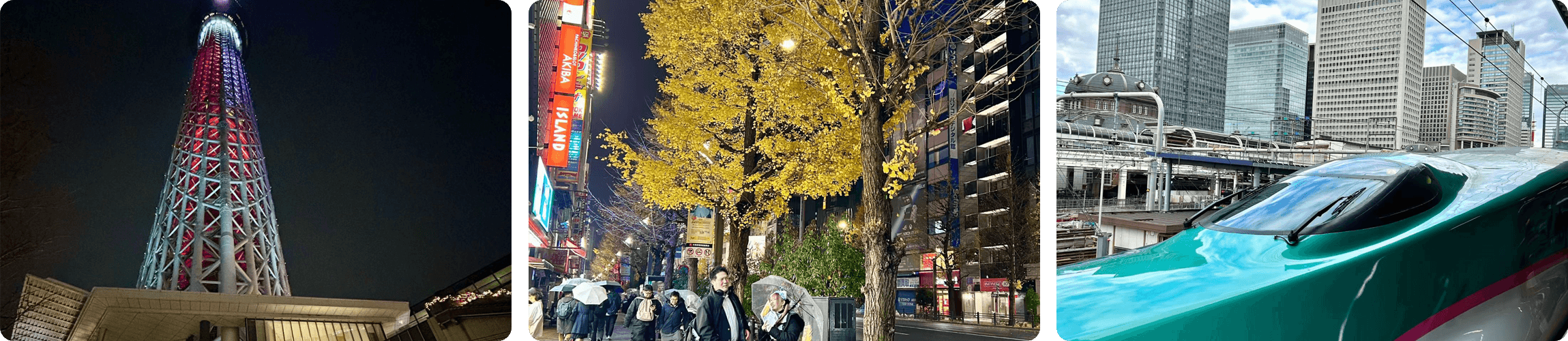 Tokyo Christmas illuminations for families